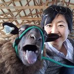 Middle Brook Fiberworks - @anne.choi - Instagram