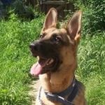 Lesley Anne Clegg - @clegglesley - Instagram