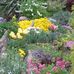 Anne Cliffe - Facebook