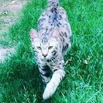 Anne Clinton - @waidahaxadaha6503 - Instagram
