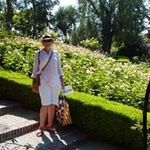 Anne Clinton-Baker - @flowers.hedleys - Instagram