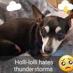 Anne Cloud - @annehey6 - Instagram