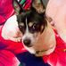 Anne Clouse - Facebook