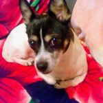Anne Clouse - @anne.clouse.13 - Instagram