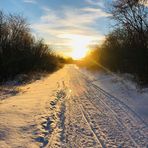 Anne Cloutier - Facebook