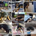 Anne Cloutier - Facebook