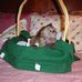 Ann Coble - Facebook