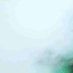 Annie Cofer - @cofer.annie - Instagram