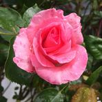 Anne Colas - Facebook