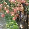 annecolaskim - @annecolaskim - TikTok