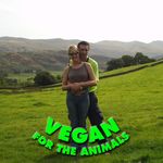 Anne Coley - @coley703 - Instagram