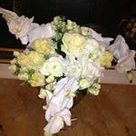 Anne Colin - @annecolin46 - Instagram