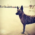 Anne colin - @annecolin25 - Instagram