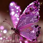 Ana Collazo - Facebook