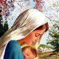 Anne Marie Collette - Facebook