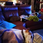 Anne Colling - @anne.colling.3 - Instagram