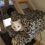 Anne Colling-Hartnett - @collinghartnett - Instagram