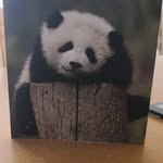 Anne Collings - @anne.collings1 - Instagram