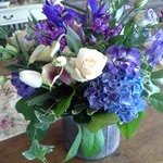 Lou Anne Colombo - @colombolou - Instagram