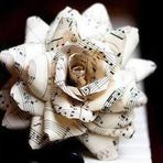 Anne Colt - Facebook