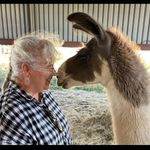 anneconder - @anneconder - Instagram
