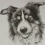 Anne Conlin - @anneconlin - Instagram