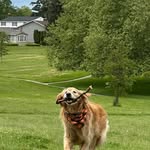 Anne Conner - @anne_conner1978 - Instagram