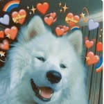 Tiktok - @_anne_conner_ - Instagram