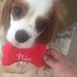 Anne Considine Straton - @annestraton - Instagram