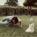 Anne Consigli - Facebook