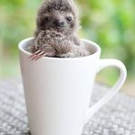 Annabelle Lara Anne Constable - @annabellelaraanne - Instagram