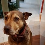 Anne Constable - @constable265 - Instagram