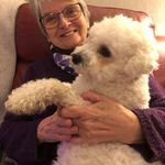Anne Constable - @a.constable17 - Instagram