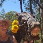 Anne Constable - @constable964 - Instagram