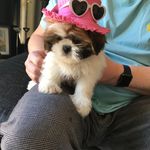 Carol Anne Constable - @carolanneconstable - Instagram