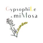 Anne Constant - Artisane Fleuriste - Bordeaux & Rive Droite - @gypsophile_mimosa - Instagram