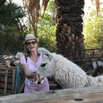 Anne Constantine - @anneconstantine1 - Instagram