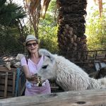 Anne Constantine - @anneconstantine1 - Instagram