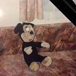 Anne Cookson - @ancookie3 - Instagram