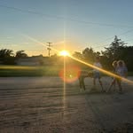 Anne Coon - @coonanne - Instagram