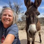 Anne Corey - @annecorey2 - Instagram