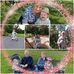 Anne Coughlan - Facebook