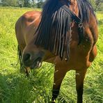 Anne Courtois - Facebook