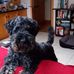 Ann Cronin - Facebook