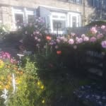 Anne Crossley - @anne.crossley.3766 - Instagram