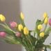 Anne Crotty - Facebook