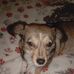 Ann Crump - Facebook