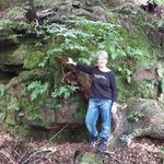 Anne Crump - @curiousmeanders - Instagram