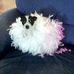 Anne Cull - Facebook