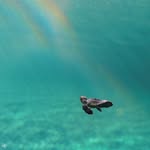 Anne Cull - @ainekj - Instagram